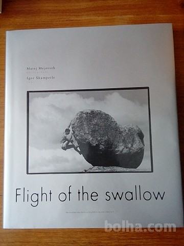Flight of the swallow (Matej Mejovšek)