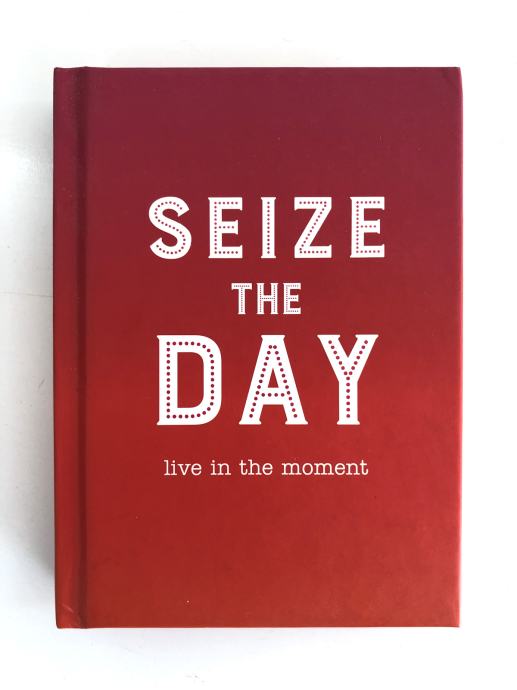 Knjiga Seize the day, Sophie Golding
