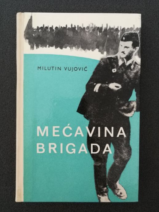 Milutin Vujović: Mećavina brigada