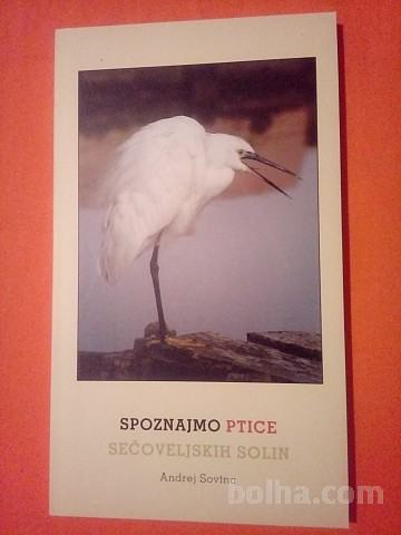 Spoznajmo ptice Sečoveljskih solin (Andrej Sovinc)