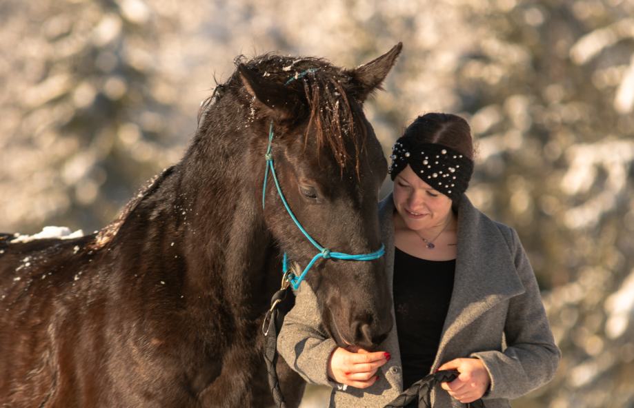 CollectA Statuetta Cavallo Barock Pinto Puledro - Replica Realistica In Miniatura, Dipinta A Mano, Educativa, Per Collezionisti E Bambini - 2