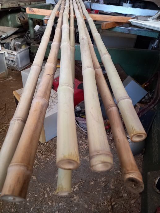 Bambus palice, suhe, očiščene 4 in 3 m