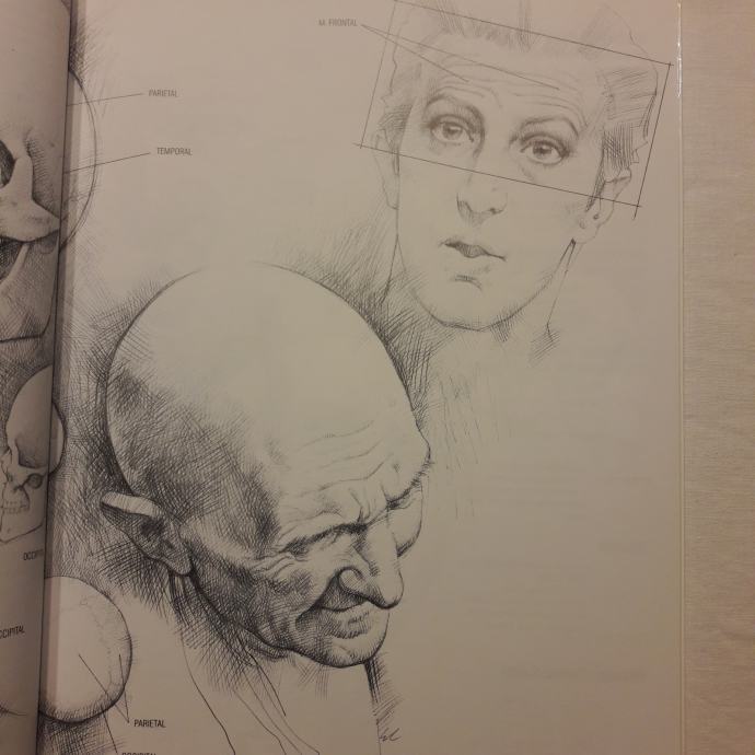 DRAWING HUMAN ANATOMY Giovanni Civardi