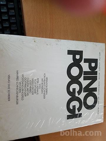 Pino Poggi, knjiga o umetniku