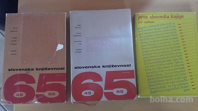 Slovenska književnost 1945-1965