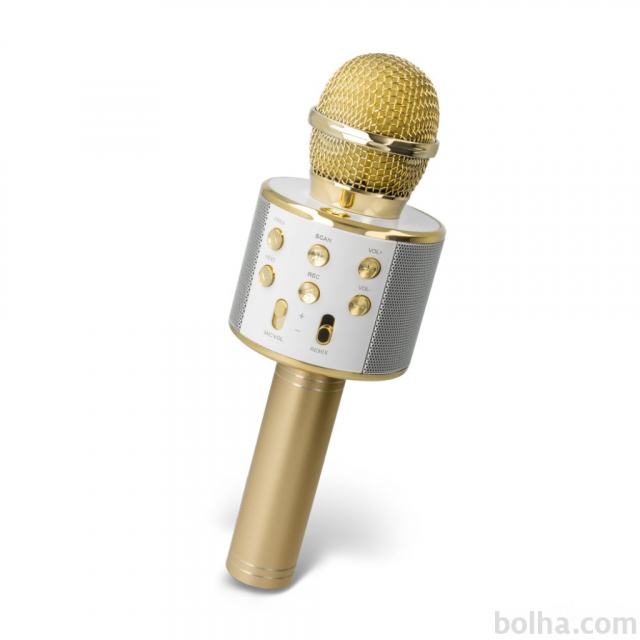 Mikrofon Forever BMS-300 z bluetooth zvočnikom