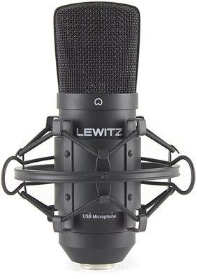Mikrofon Lewitz C100USB