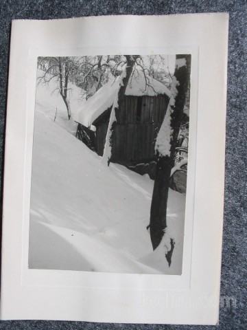 Čestitka s črnobelo zimsko fotografijo