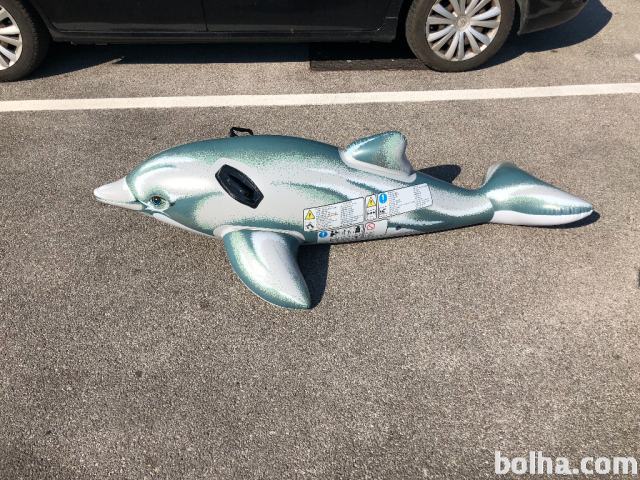 Napihljiv delfin z ročkam