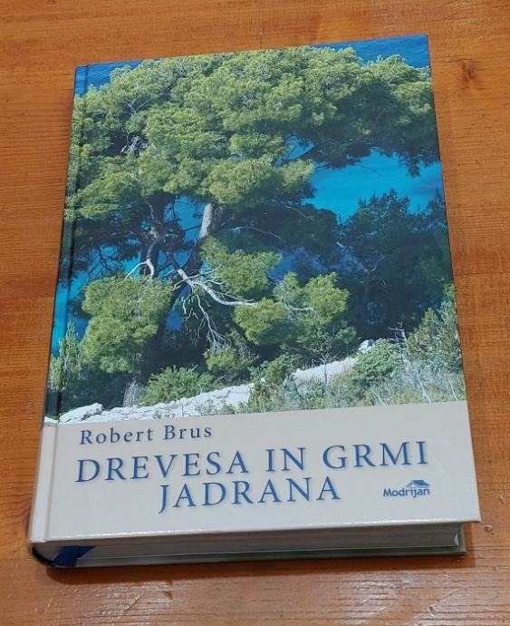 Drevesa In Grmi Jadrana drevesa-in-grmi-jadrana