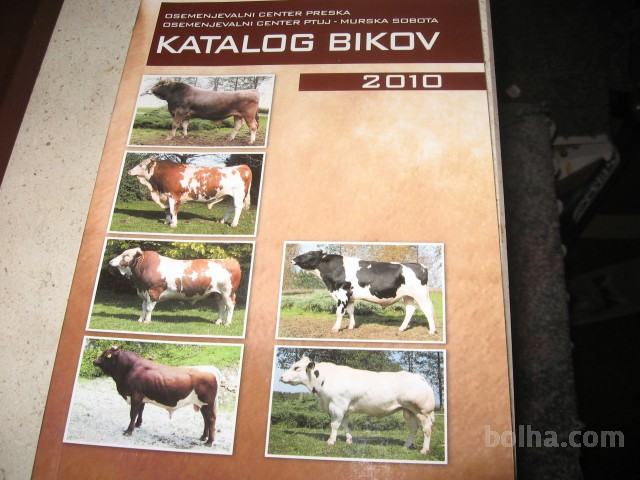 katalog bikov