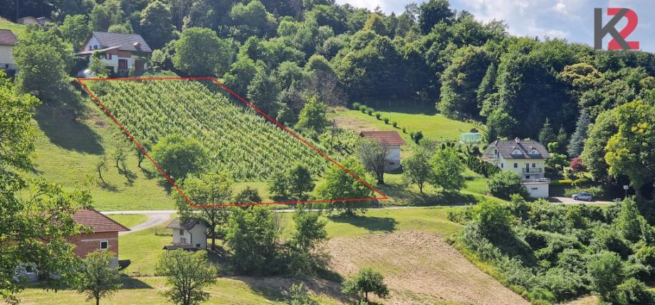 EKSLUZIVNO prodamo kmetijsko zemljišče – vinograd v izmeri 2580 m2