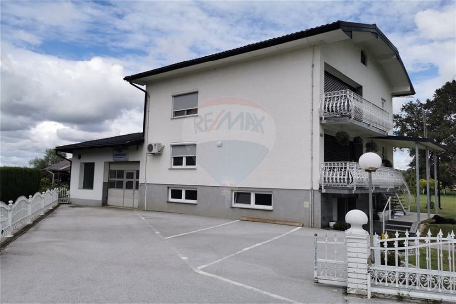 IZJEMNA VEČJA HIŠA S POSLOVNIM PROSTOROM PACINJE (prodaja)