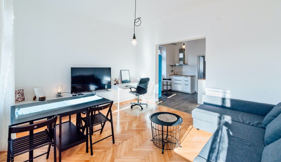 Obnovljeno, 1- sobno stanovanje, 52 m2, Ljubljana-Vodmat (oddaja)