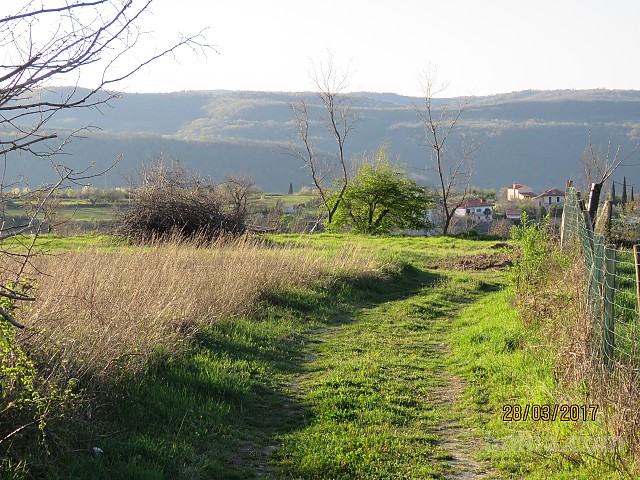 Posest, Obalno-kraška, Šmarje, Puče, kmetijsko zemljišče, 1300,00 m...