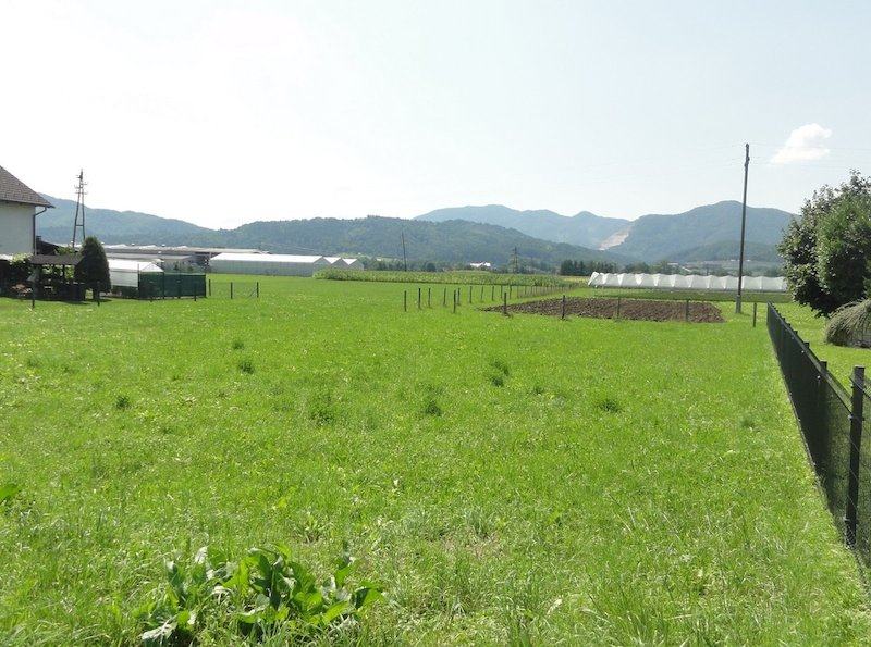 prodaja, zemljišče zazidljivo, Savinjska Žalec Dobriša vas