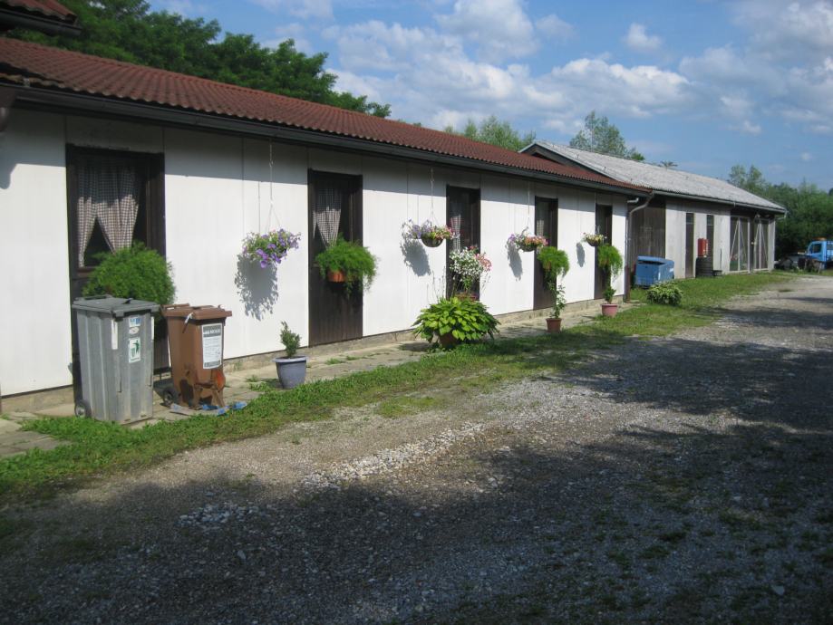 Stanovanje, Koroška, Šentjanž pri Dravogradu, soba, 20 m2, oddam (oddaja)