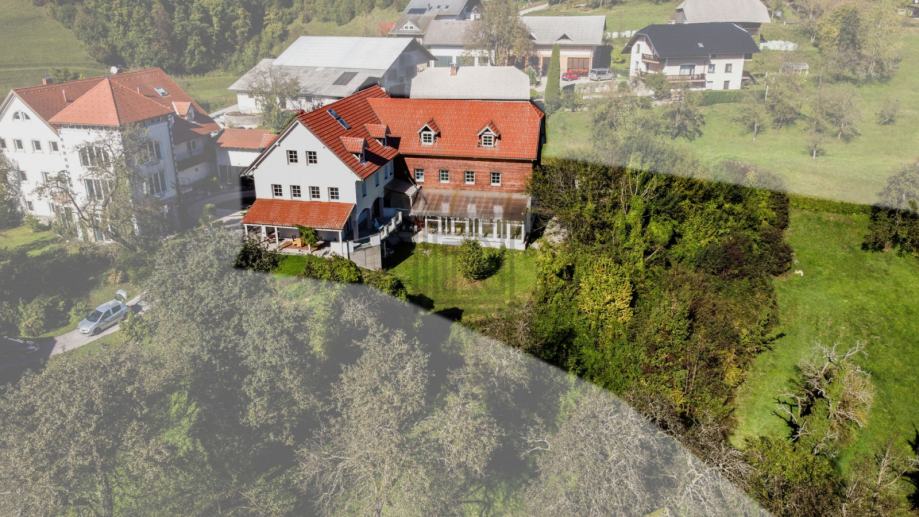 Vila Kandrše, Poslovno-stanovanjski dvorec, 1050 m2 (prodaja)