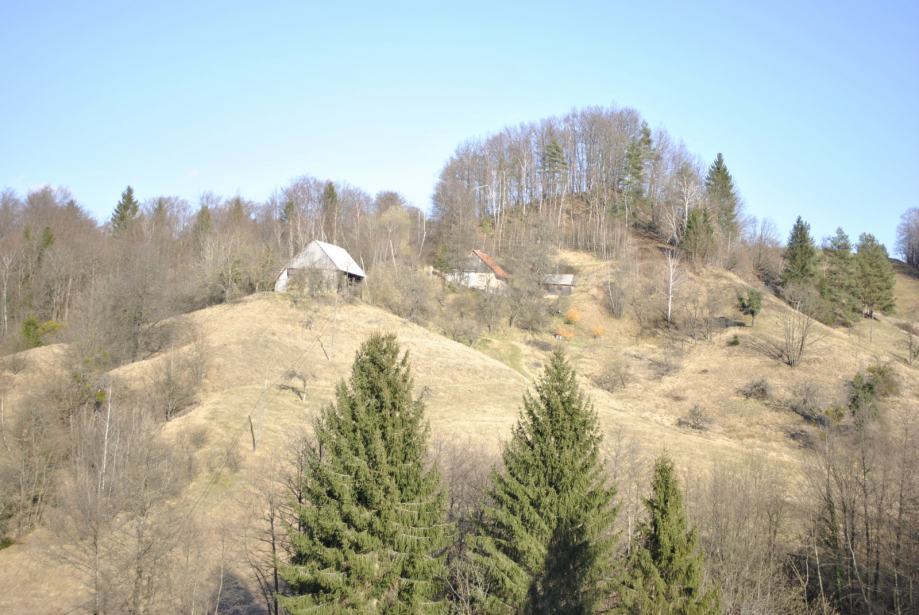 Vrsta zemljišča: Kmetijsko, Laško, 70.300 m2