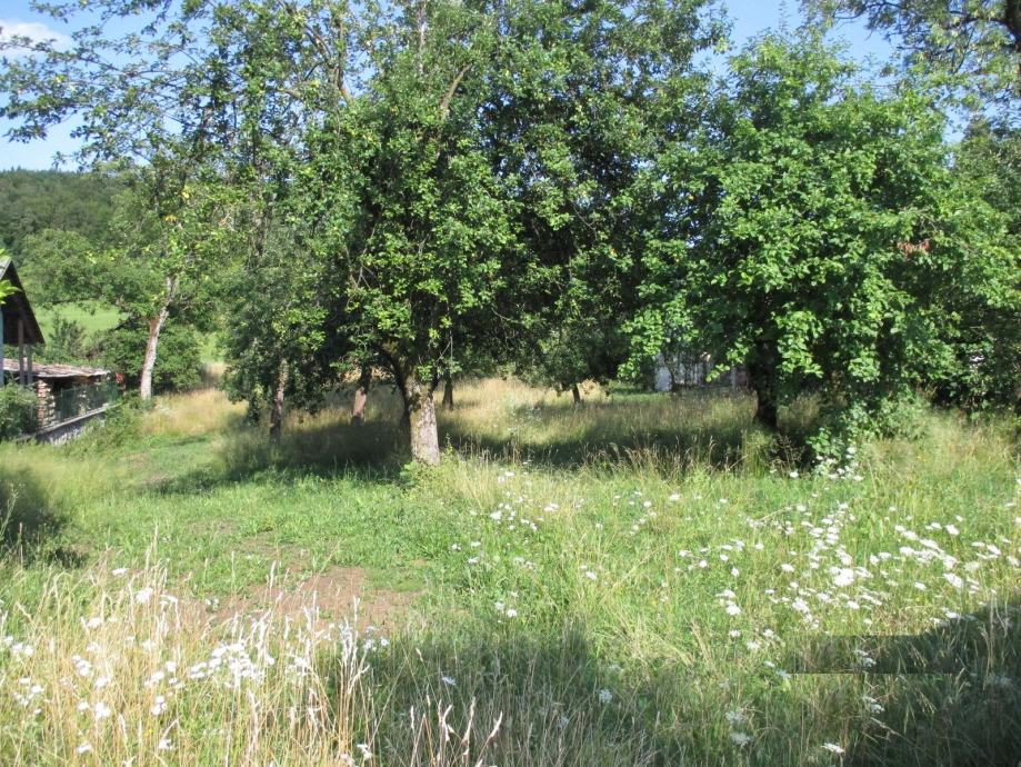 Vrsta zemljišča: Kmetijsko, Moravče, 4000 m2