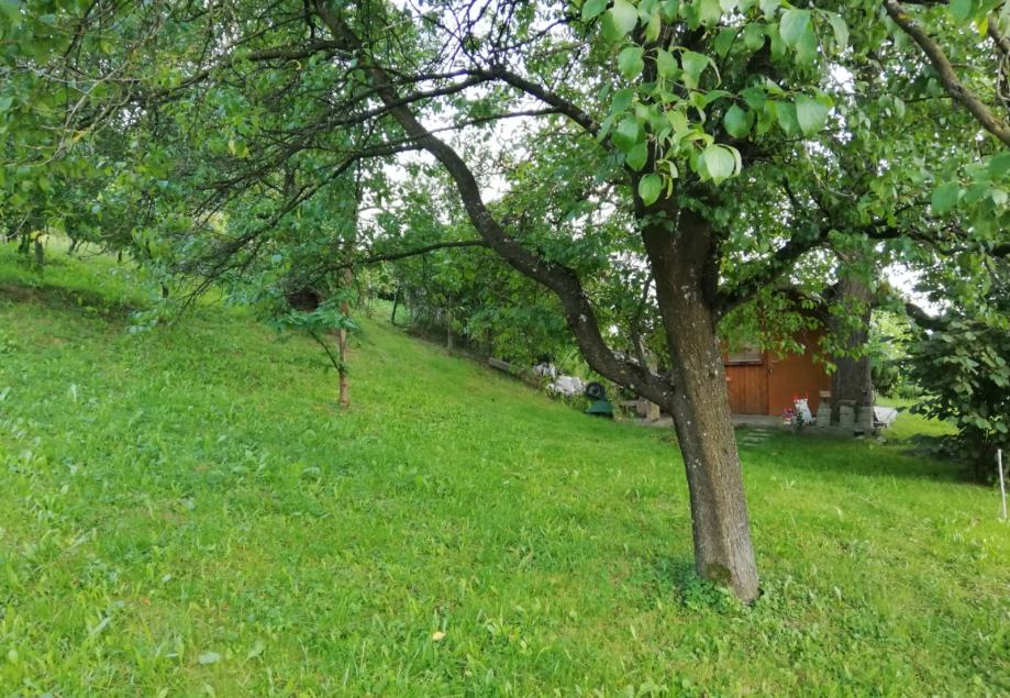 Vrsta zemljišča: Stavbno, Šentilj v Slovenskih goricah, 821 m2