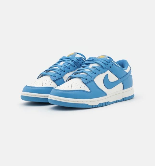 Nike Sportswear DUNK LOW Športni copati