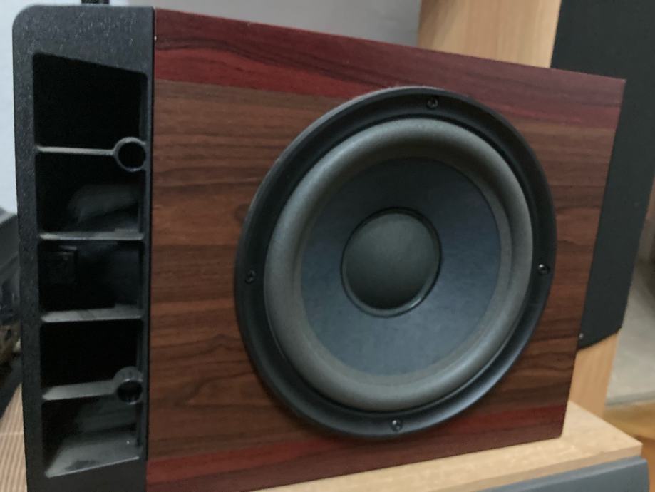 Bose 301 Series IV speakers