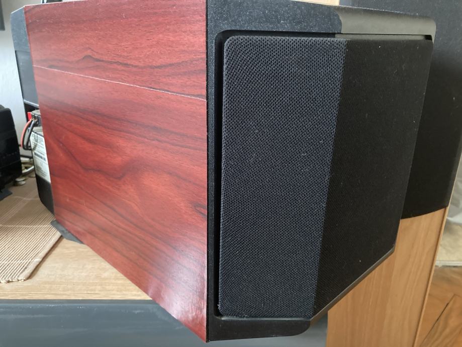 Bose 301 Series IV speakers