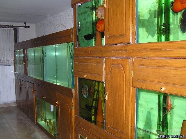 Akvarij - gojilnica za diskuse