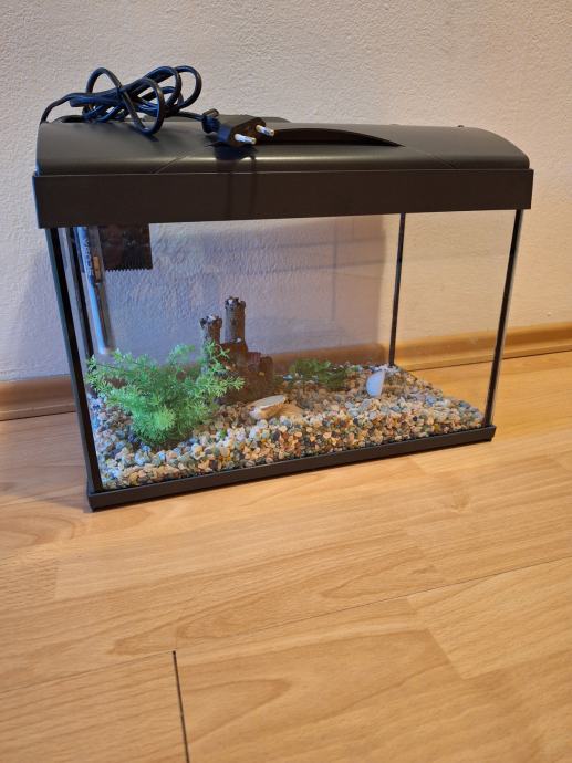 Akvarij za ribice