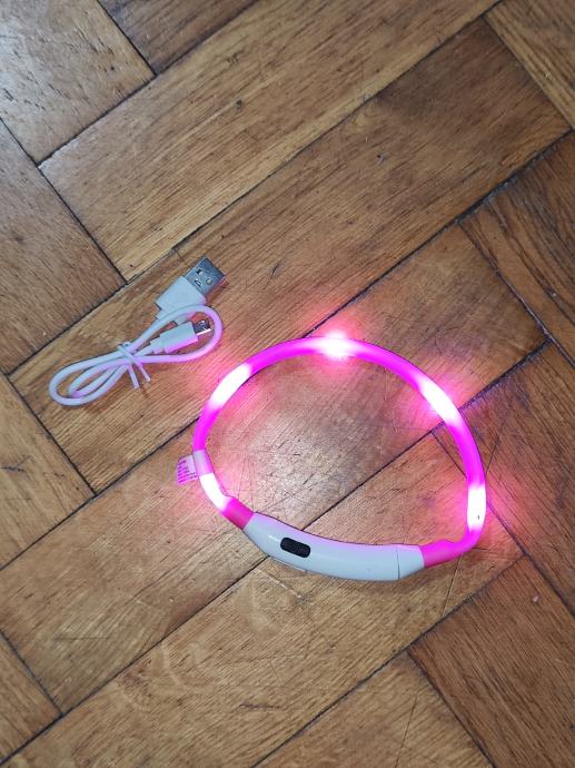 LED ovratnica za psa