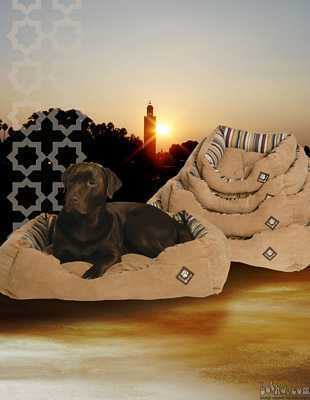 Postelja za pse in muce Danish design Morocco
