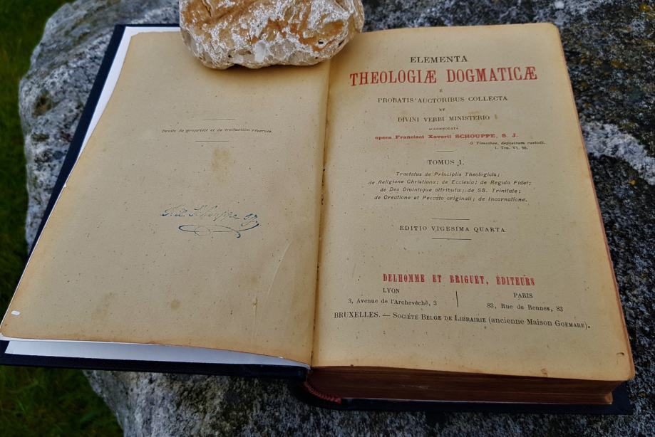 Elementa theologiae dogmaticae SCHOUPPE Francisci Xaverii Bruselj 1861