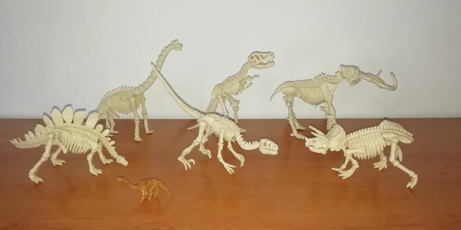 Zbirka okostij dinozavrov
