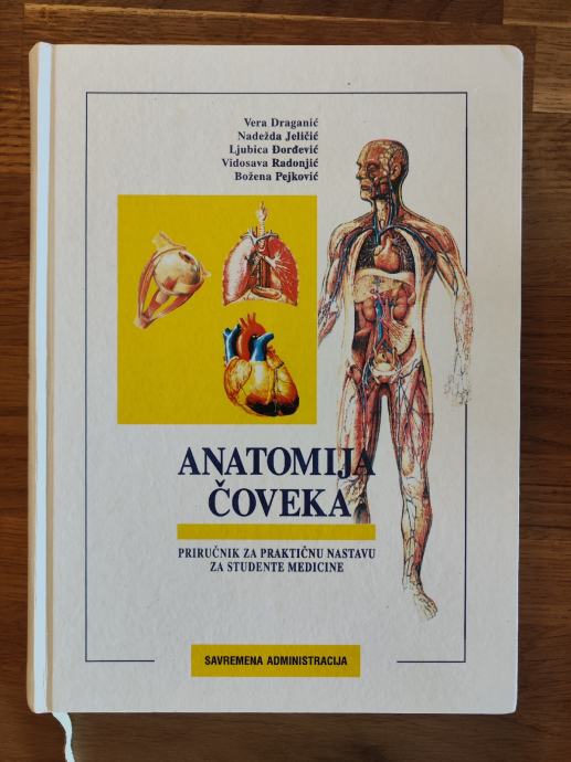 Anatomija čoveka
