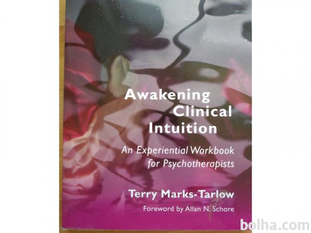 Awakening Clinical Intuition s CDjem