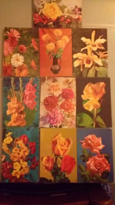 10 starih razglednic(Rože)