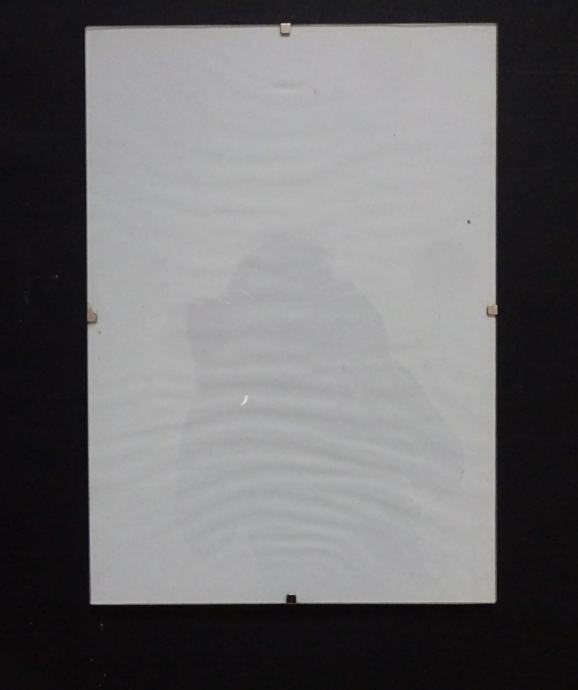 Okvir za sliko 30x21 - samo steklo, podlaga in 4 sponke