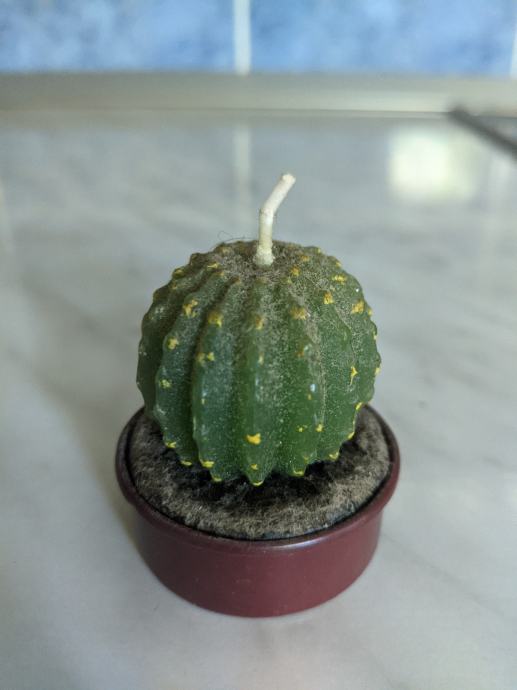 Svečka v obliki kaktusa 4,5x4cm