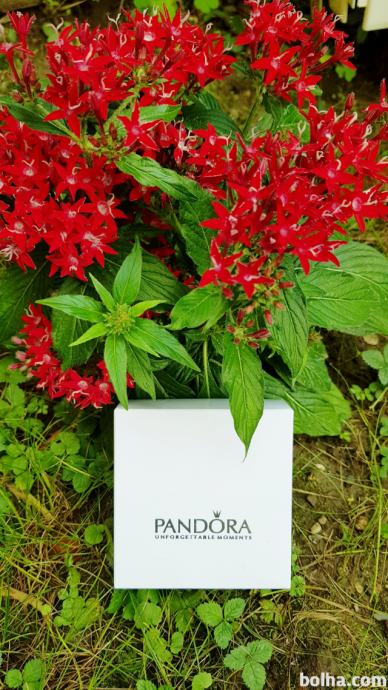 Pandora źenske zapestnice mozen je tudi ogled Mb ali lj
