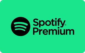 Spotify Premium paket (1 leto)