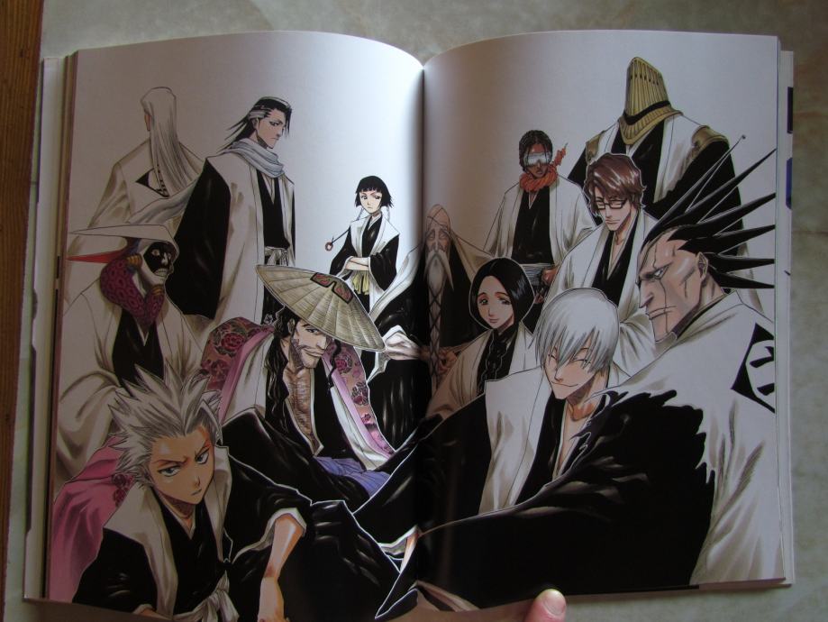All Colour but the Black: The Art of Bleach