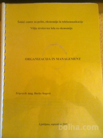 Organizacija in management