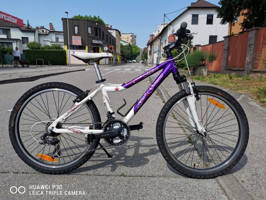 genesis 24 inch bike