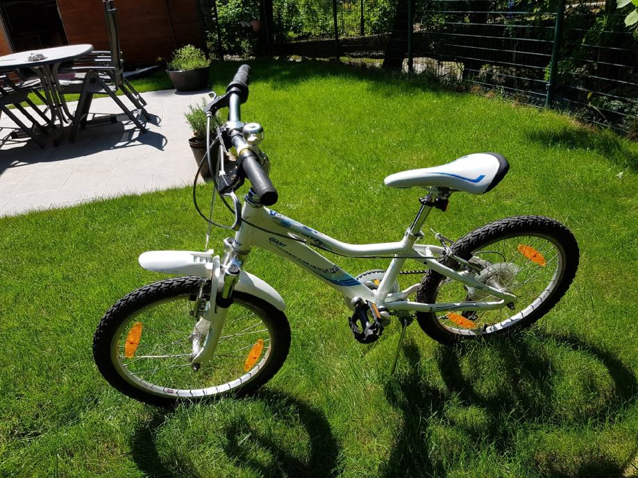 giant revel jr