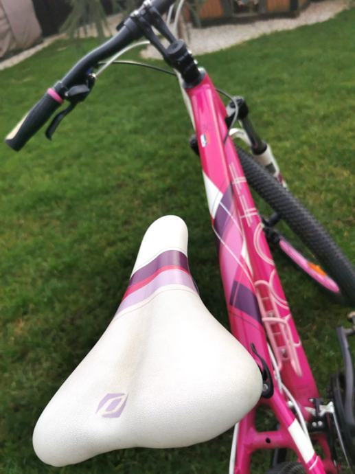 scott contessa xs