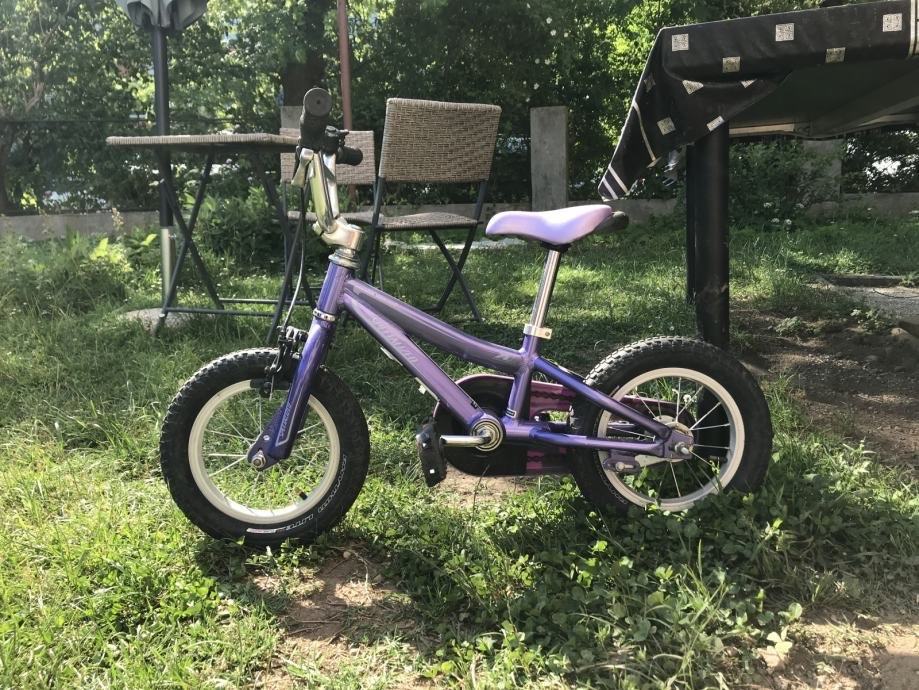 specialized hotrock 12 used