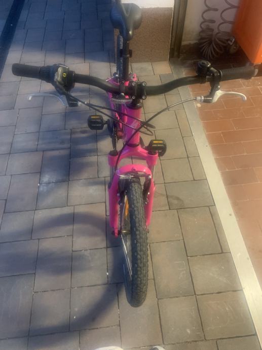 foxter evans 3.0 29er