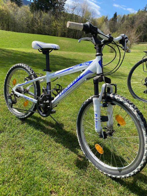 torpado tigre t625