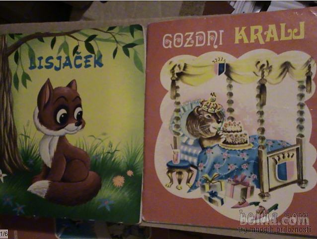 knjižice za otroke: Gozdni kralj, Tikec, Muhasti koder ...